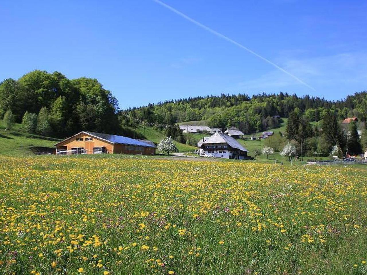 Buerschtehanse-Hof Ibach Exterior photo